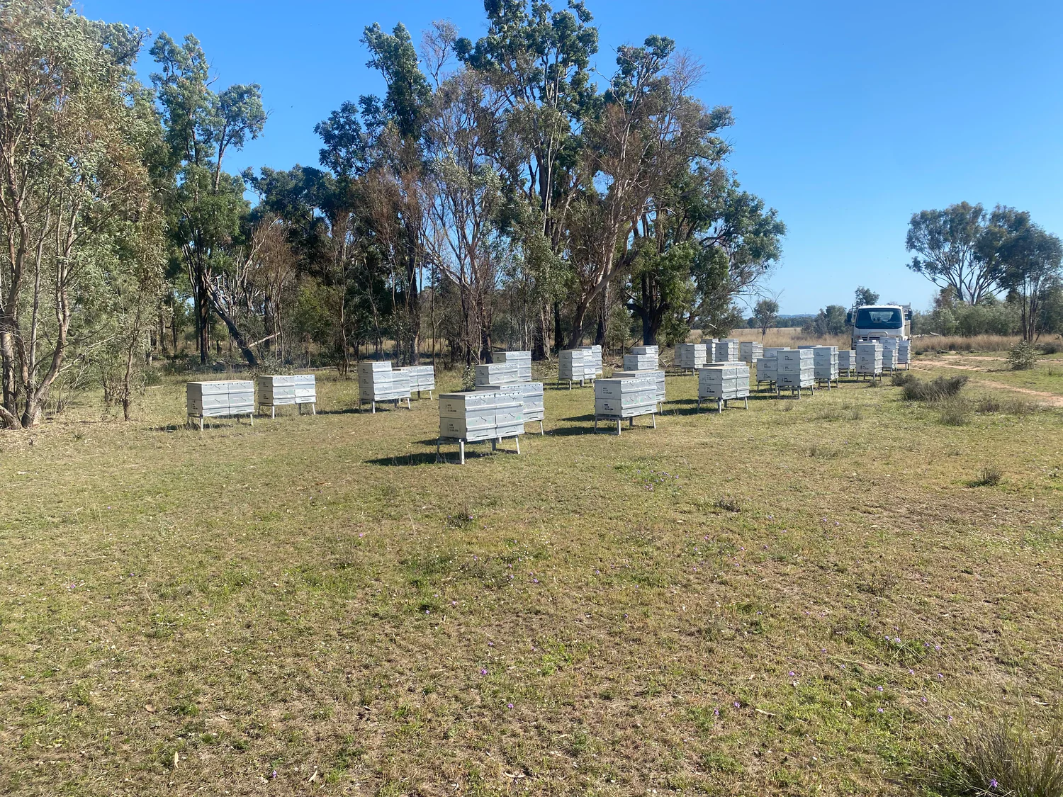 Sustainable Style for Modern Beekeepers